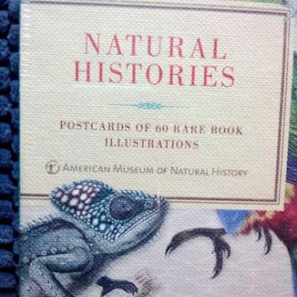 Postcards of 60 Rare Book Illustrations - Picture 2 of 5